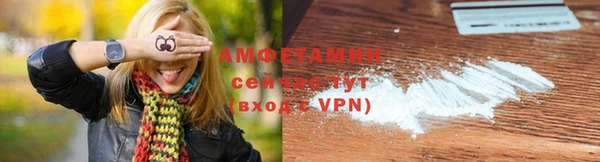 гидра Бородино
