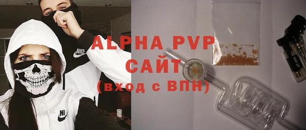 гидра Бородино