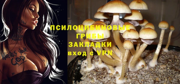 гидра Бородино