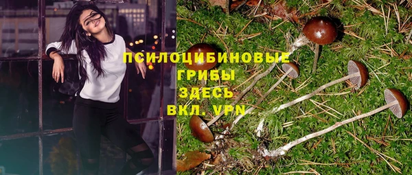 гидра Бородино
