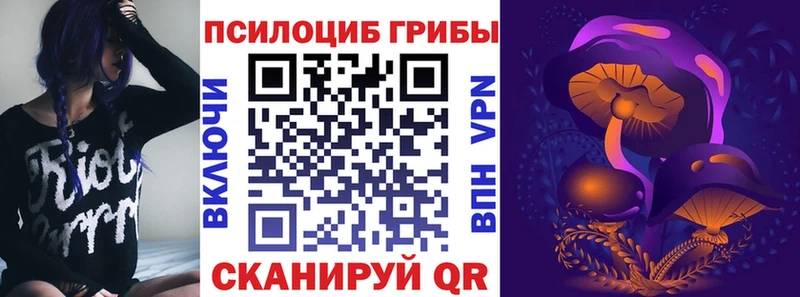 Псилоцибиновые грибы Psilocybine cubensis  Иноземцево 